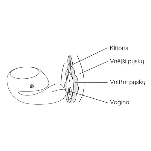 Grafika znázorňující části vagíny, které jsou stimulovány vibrátorem Lelo Ida Wave. 